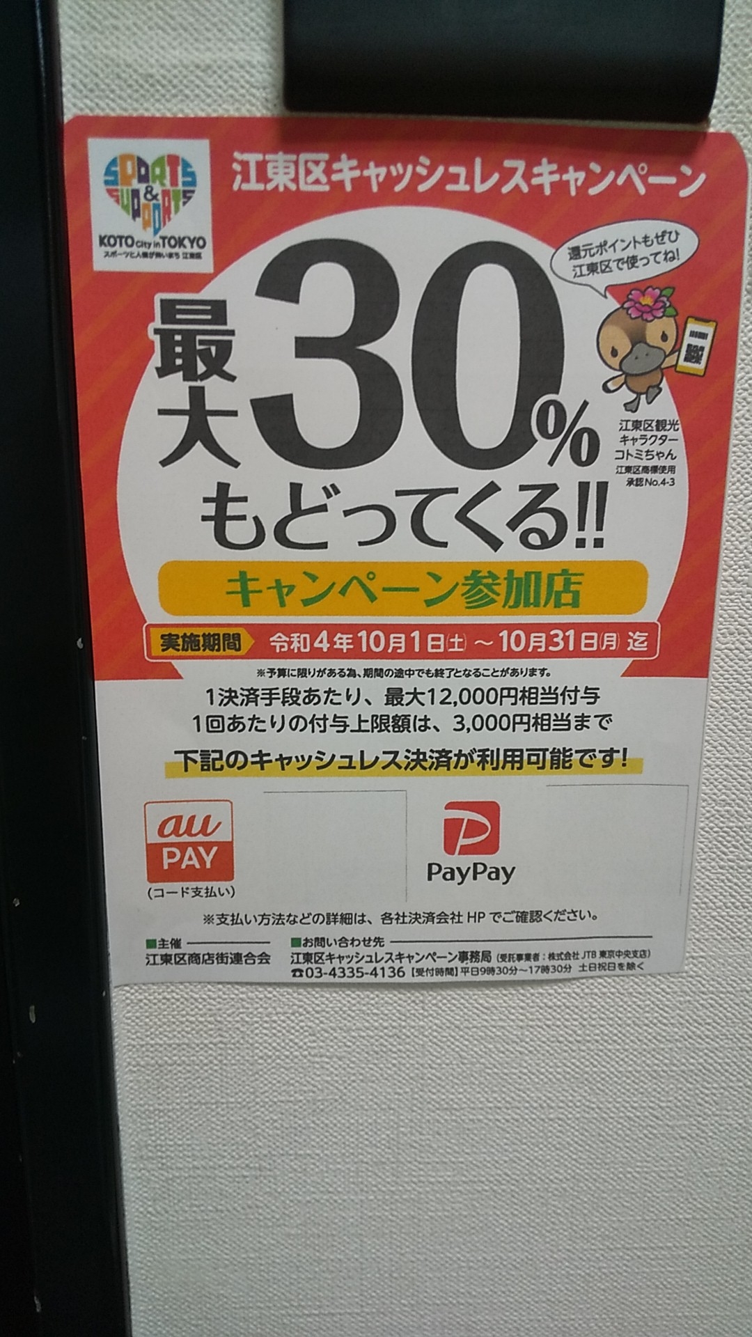 30パーセント
